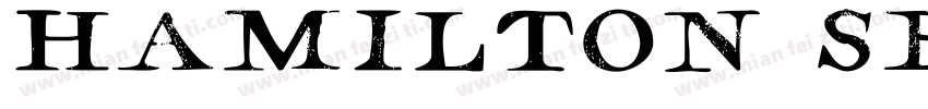 Hamilton Serif SVG Regular字体转换